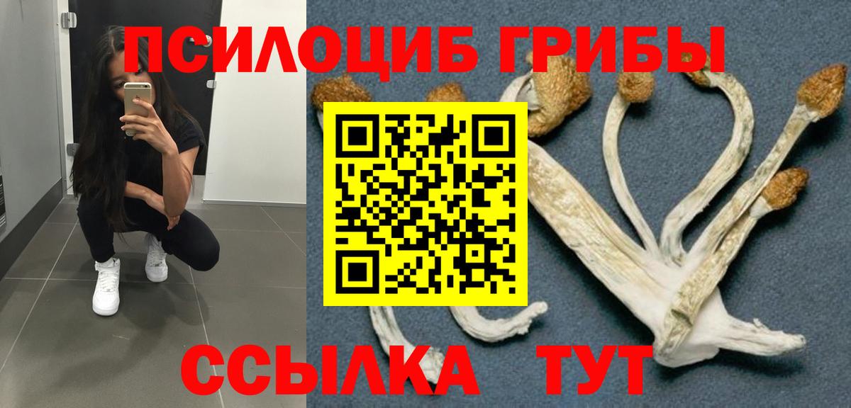 купить   Псилоцибиновые грибы мицелий  Вход с VPN  Галлюциногенные грибы мицелий  Северск 